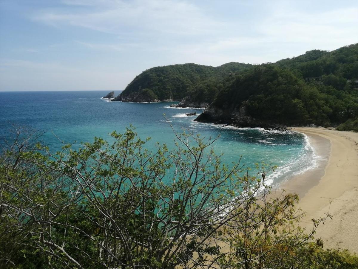 Casa Luna Playa Otel Puerto Ángel Dış mekan fotoğraf