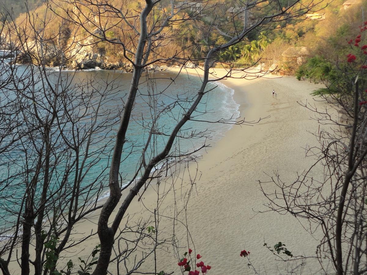 Casa Luna Playa Otel Puerto Ángel Dış mekan fotoğraf