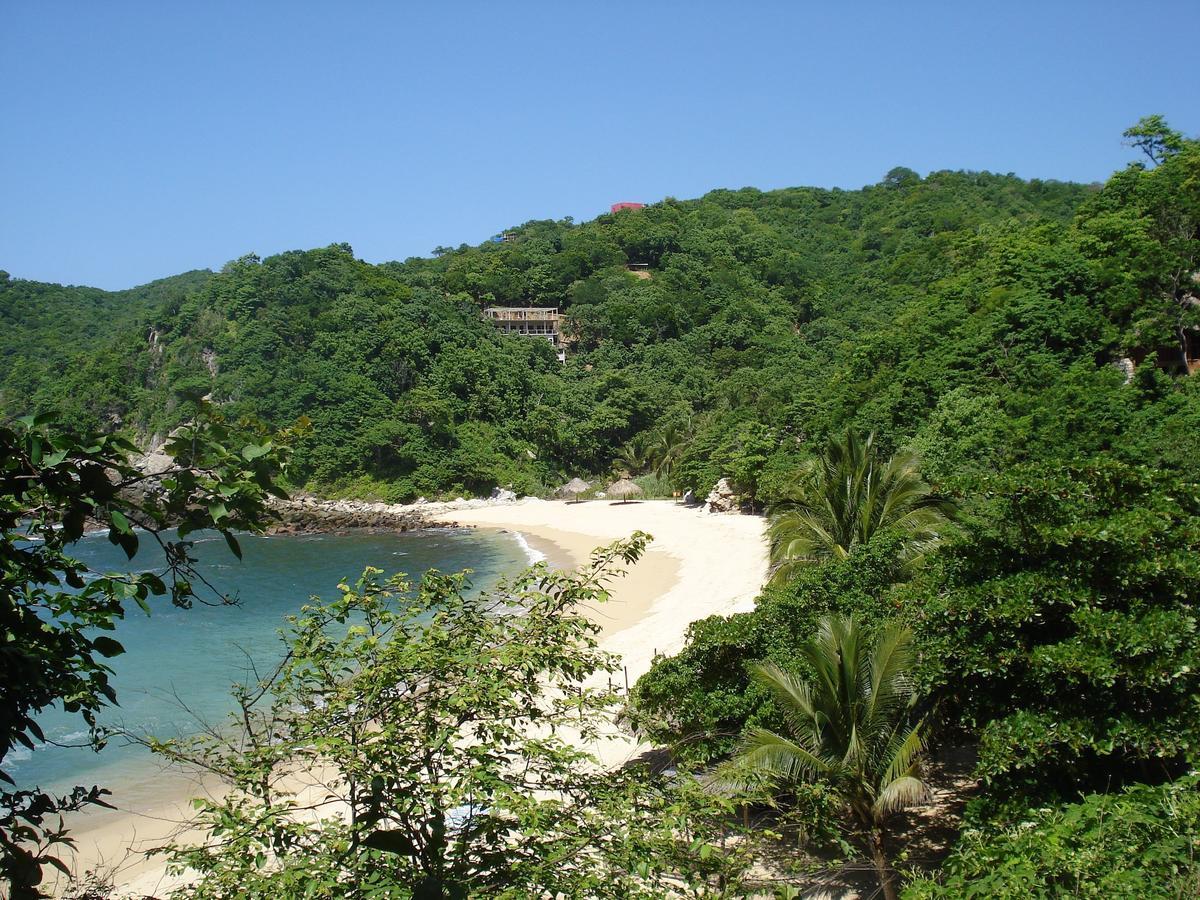 Casa Luna Playa Otel Puerto Ángel Dış mekan fotoğraf