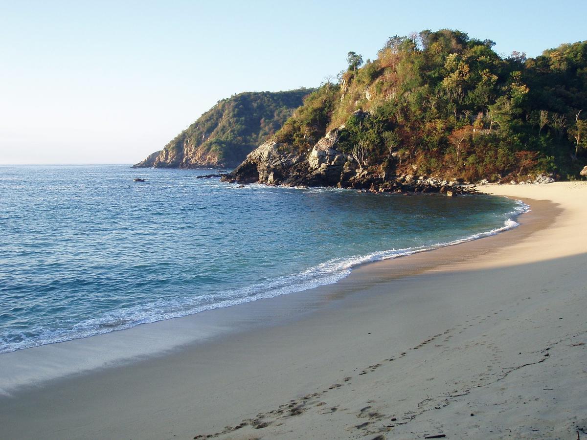 Casa Luna Playa Otel Puerto Ángel Dış mekan fotoğraf